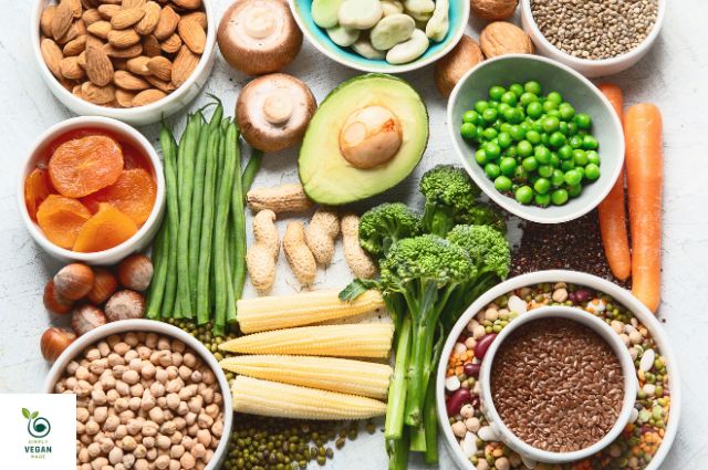 Plant-Based Protein Sources for Vegans