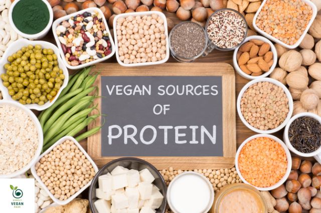 Vegan Sources of Protein