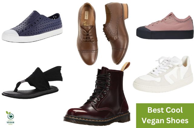 best cool vegan shoes