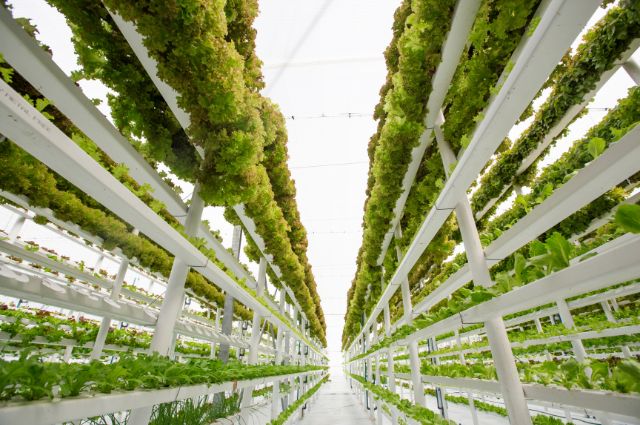 vertical farming