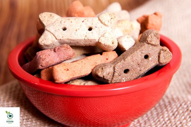 vegan dog DIY treats