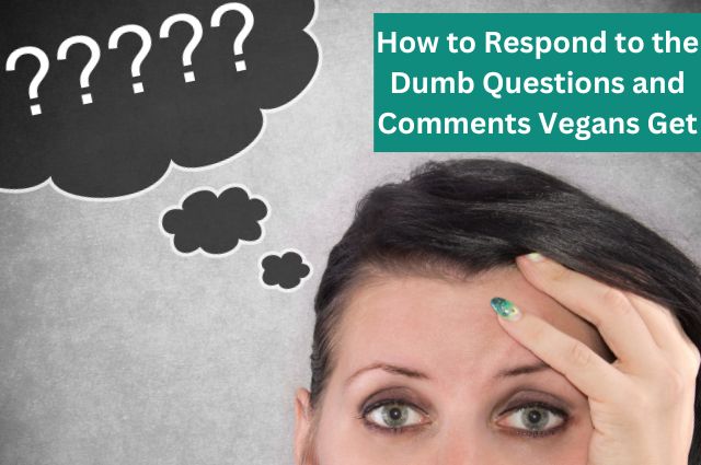 Dumb Questions and Comments Vegans Get